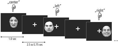 Processing of Unattended Emotional Facial Expressions: Correlates of Visual Field Bias in Women